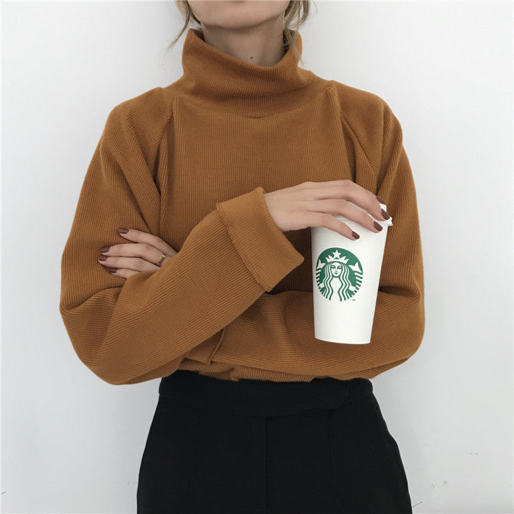 Pull Col Roulé Décontracté – Style Coréen et Élégance Sans Effort