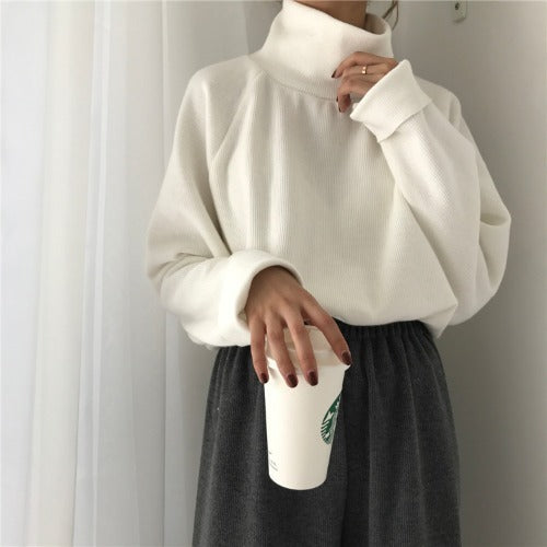 Pull Col Roulé Décontracté – Style Coréen et Élégance Sans Effort